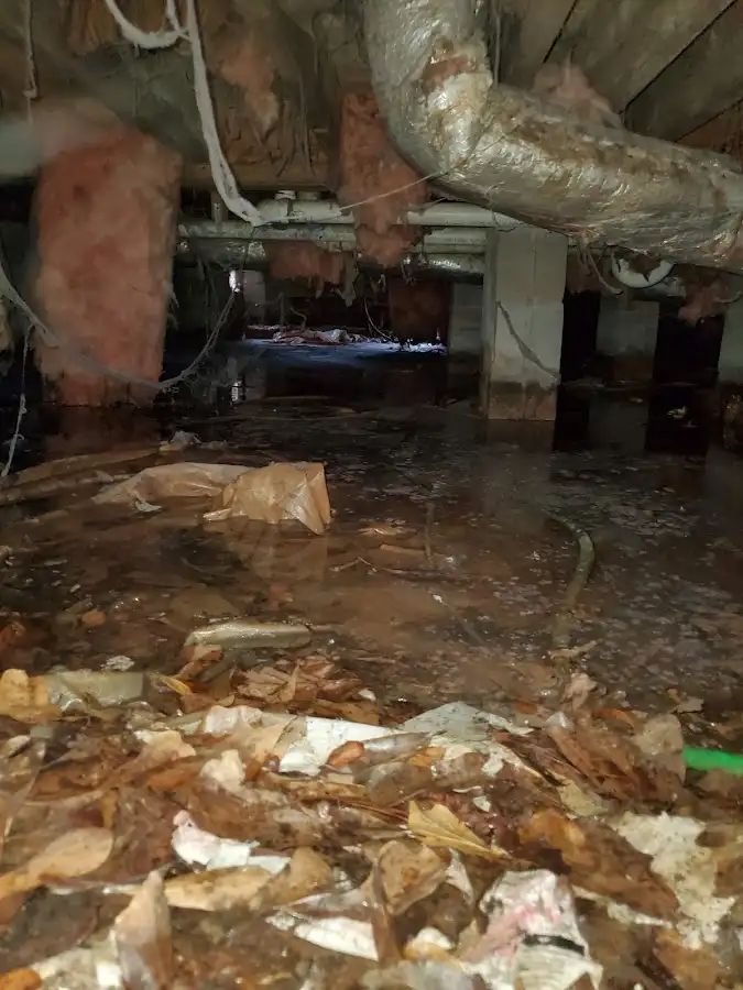 Crawl space flood assessment for Leak Detection & Repair in Erwin