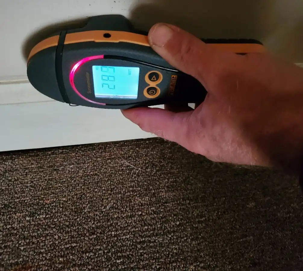 Moisture detection at baseboard during Sewage Cleanup & Sanitation in Erwin